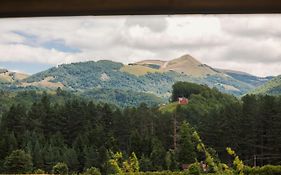 Eco Village & Chalets Green Heaven